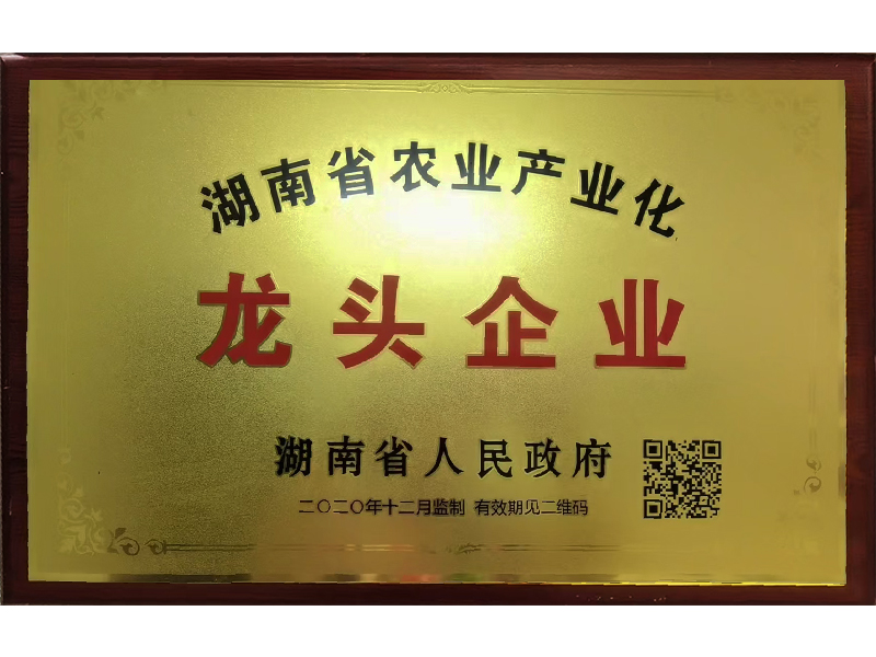 岳陽市漁之源食品有限公司,岳港漁都,洞庭魚港,散稱系列,田螺系列,臭豆腐加工，香豆腐加工，烤脖加工，魚仔,鴨排加工、雞丁加工代加工